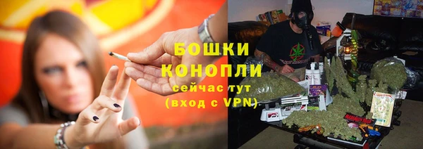 каннабис Покачи