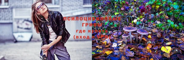 каннабис Покачи