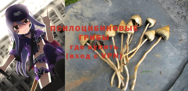 mdpv Покровск