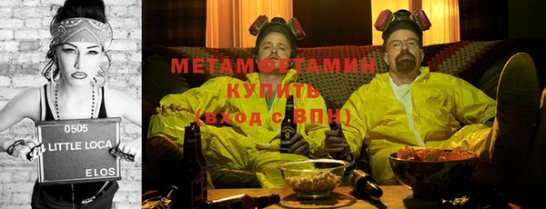 гидра Нестеровская