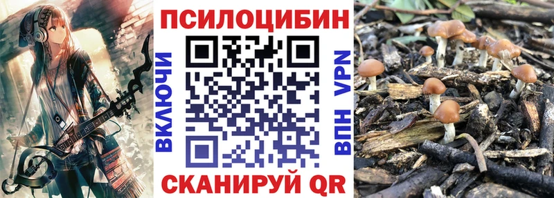 наркота  mega онион  Галлюциногенные грибы Cubensis  Снежинск 
